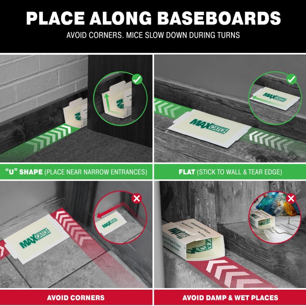 Power Source: None.
Lasts Up To: Single use per trap.
Price Range: $20–$25.
Warranty/Support: 30-day guarantee.
Best For: Indoor pest capture.
Setup Time: 1 minute.
Pet-Safe: Keep away from pets.
Sustainability: Disposable, minimal materials.
