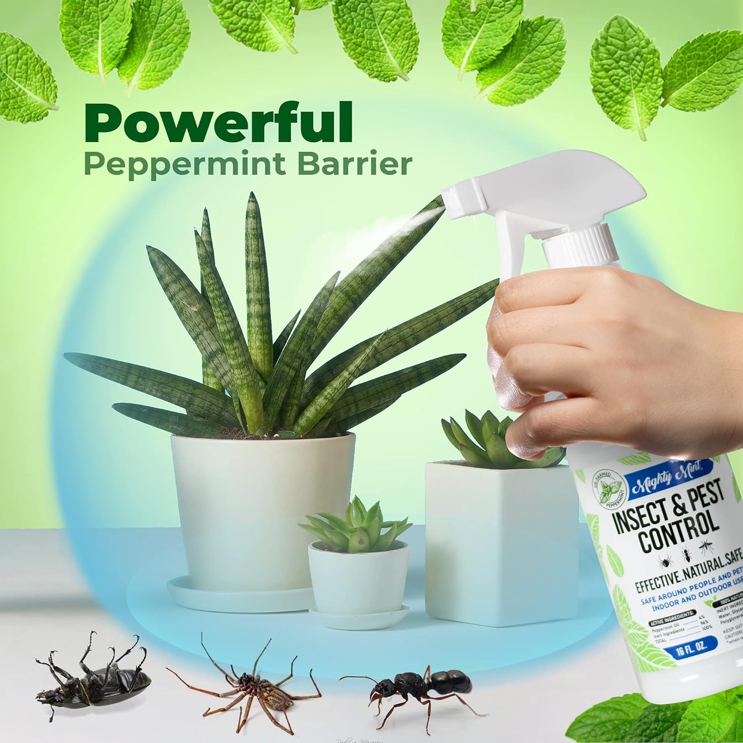 Power Source: None (manual spray).
Lasts Up To: 24 hours per application.
Price Range: $12–$15.
Warranty/Support: 30-day satisfaction guarantee.
Best For: Indoor and outdoor bug protection.
Setup Time: Instant.
Pet-Safe: Yes.
Sustainability: Made from natural oils.