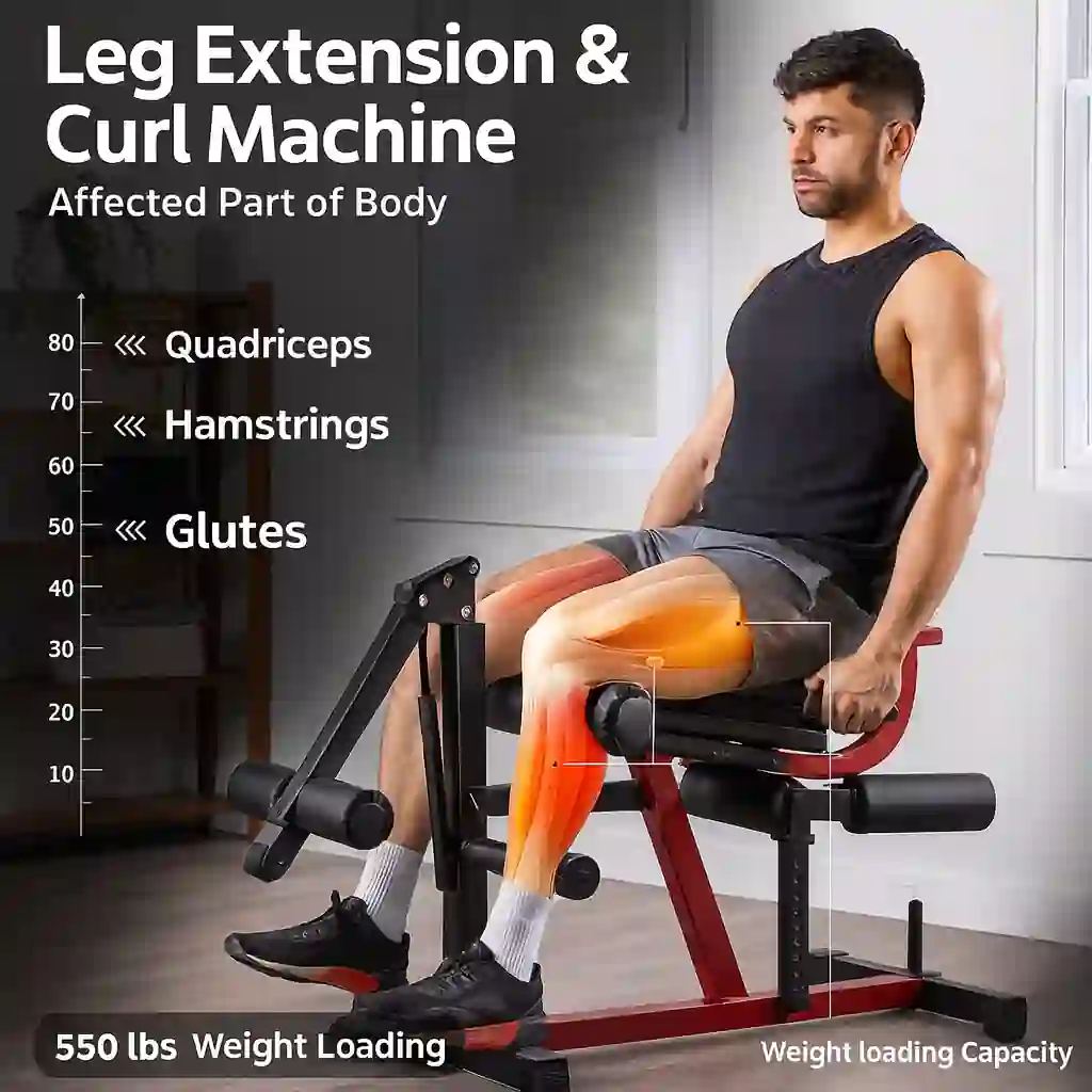 Image is showing the product name GMWD Adjustable Leg Extension & Curl Machine – Steel Frame and it's usage
Best leg press for home gym