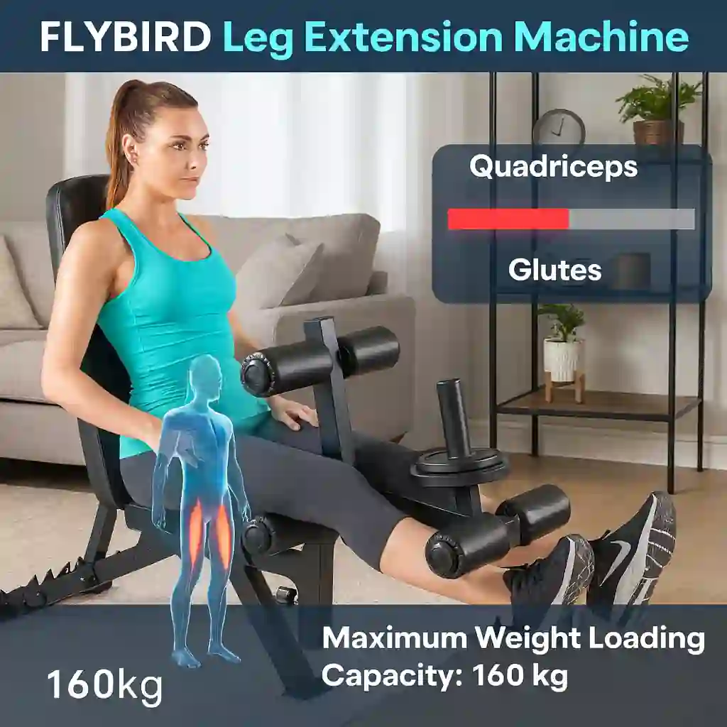 Ideal For: Beginners to intermediate users.  Impact: Moderate.  Weight Capacity: 300–400 lbs.  Price Range: $150–$250.  Best For: Full-body strength training and home gym versatility.