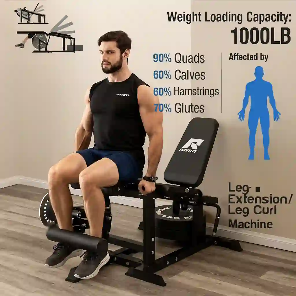 Ideal For: Intermediate to advanced users.  Impact: Moderate.  Weight Capacity: 300–400 lbs.  Price Range: $300–$500.  Best For: Targeted leg strengthening and muscle development.